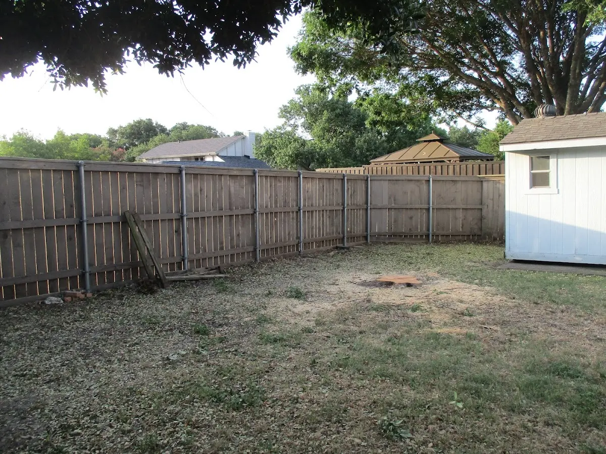 Cleared yard after professional tree removal in Cook Sta